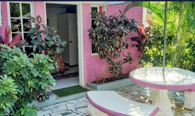 Pink Hibiscus Bed And Breakfast Montego Bay Buitenkant foto