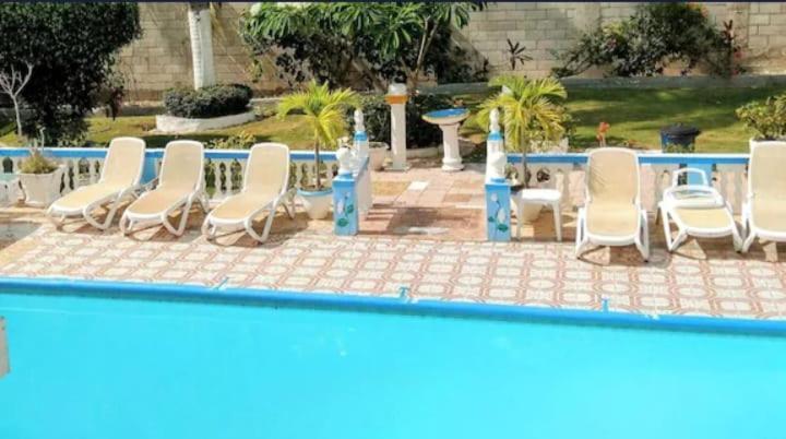 Pink Hibiscus Bed And Breakfast Montego Bay Buitenkant foto