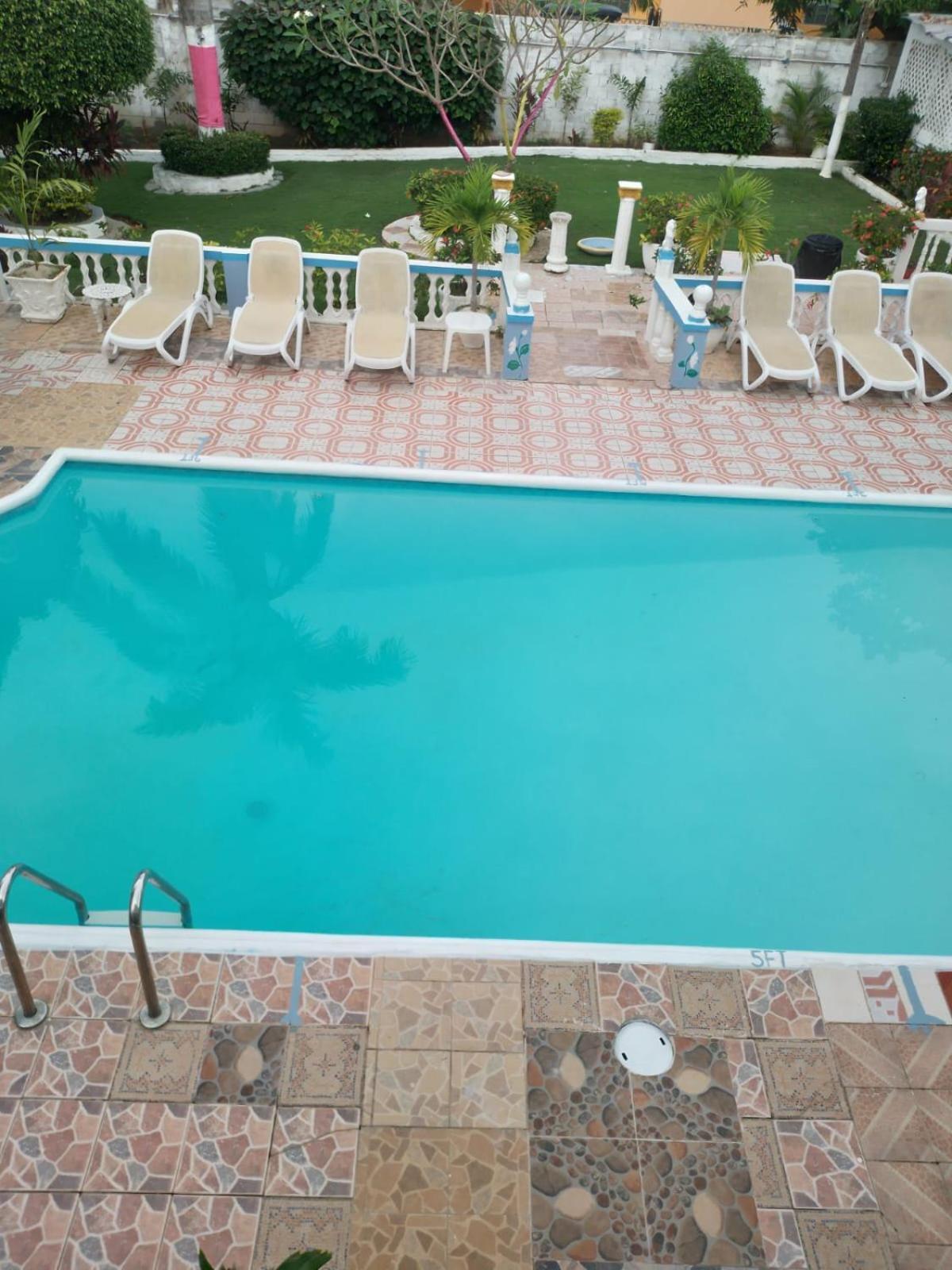 Pink Hibiscus Bed And Breakfast Montego Bay Buitenkant foto