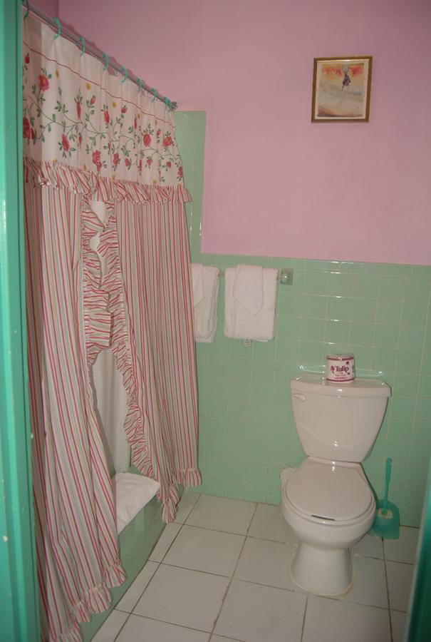 Pink Hibiscus Bed And Breakfast Montego Bay Buitenkant foto