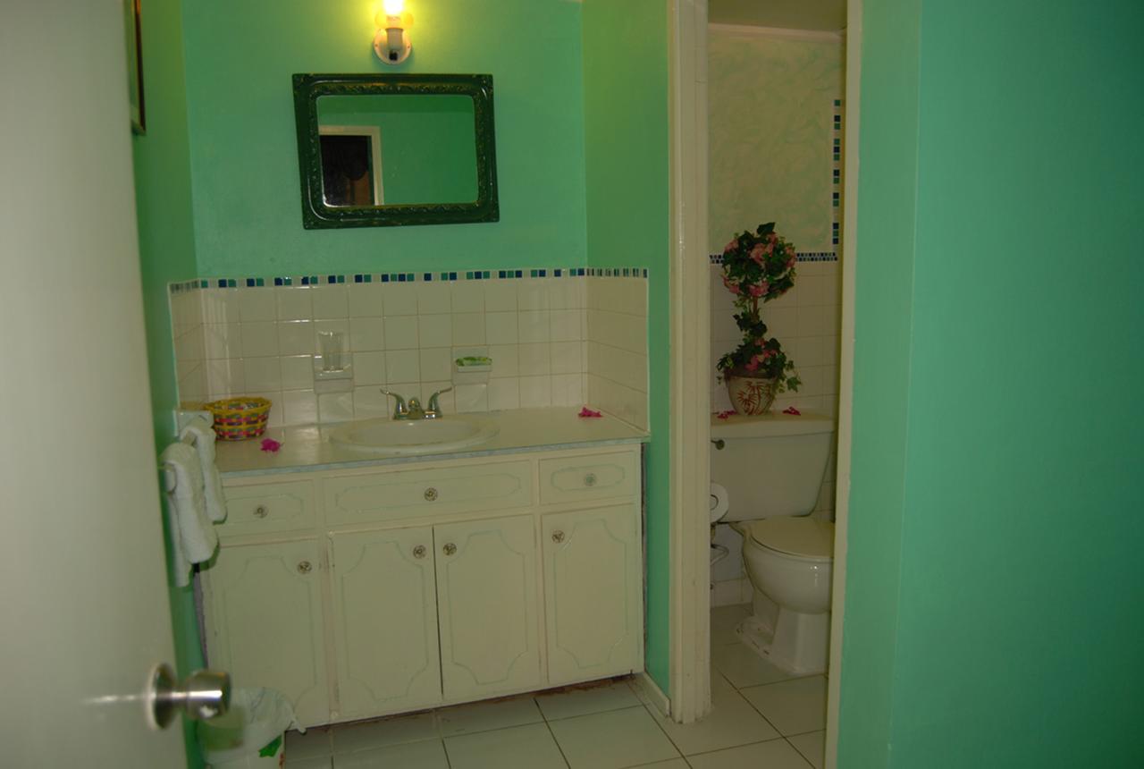 Pink Hibiscus Bed And Breakfast Montego Bay Buitenkant foto