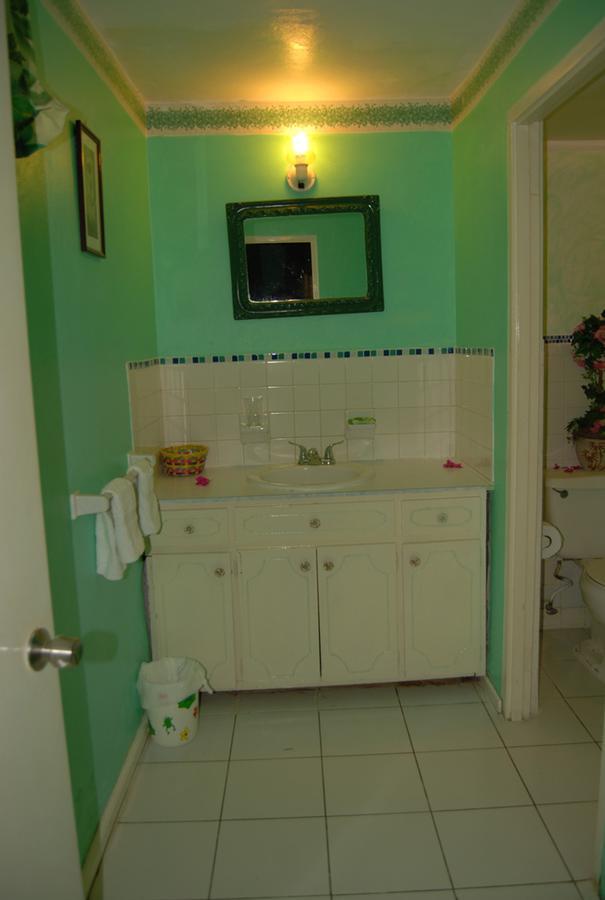 Pink Hibiscus Bed And Breakfast Montego Bay Buitenkant foto